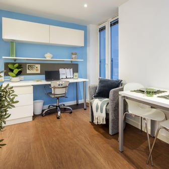 Large Standard Studio Dual Aspect - Image 5