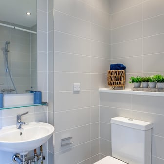 Deluxe Studio - Image 17