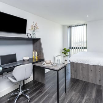 Deluxe Studio - Image 2