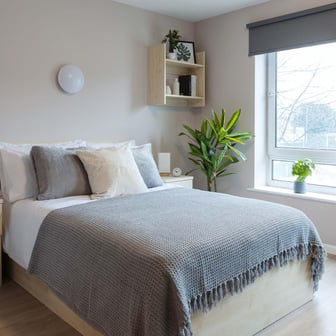 Platinum Studio - Image 2