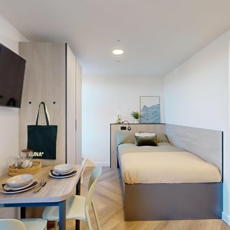 Premium Plus Studio - Image 1