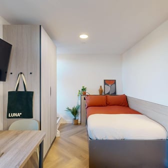 Classic Studio Ground - Image 2