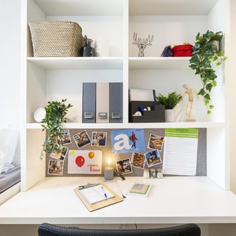 Platinum Studio Plus - Image 4