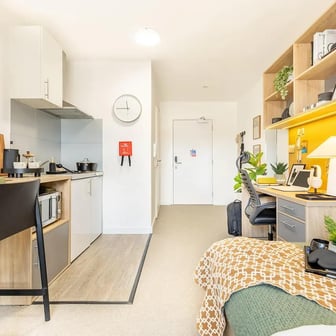 Premium Plus Studio - Image 2