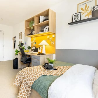 Premium Plus Studio - Image 4