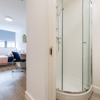 Gold Ensuite - Image 3