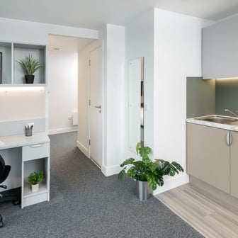 true Sky Studio Plus - Image 6