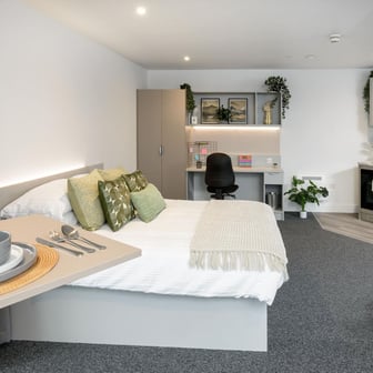 true Sky Superior Studio - Image 4