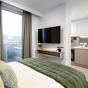 true Studio Plus - Image 1