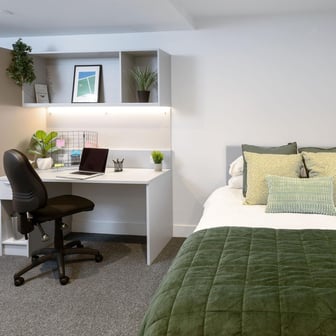 true Studio Plus - Image 4