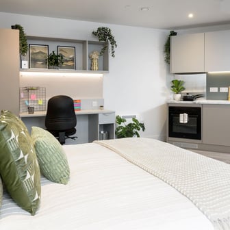 true Superior Studio - Image 4