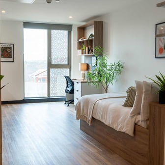 Gold Plus Studio - Image 2