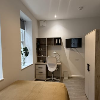 Dolphin Classic - Image 8