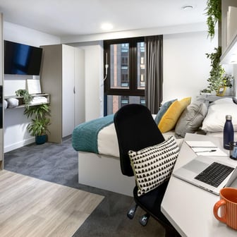 true Accessible Studio - Image 2