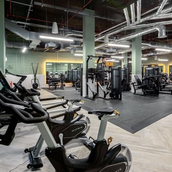 true Accessible Studio - Image 19