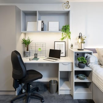 true Studio Plus - Image 4