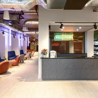 true Studio Plus - Image 24