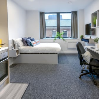 True Studio Plus - Image 1