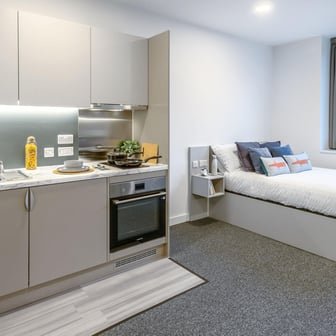 True Studio Plus - Image 2