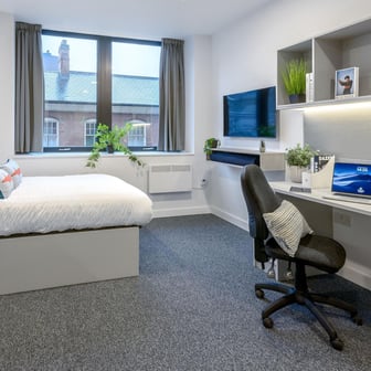 True Studio Plus - Image 3