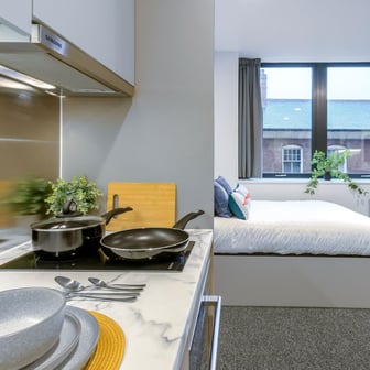 True Studio Plus - Image 4