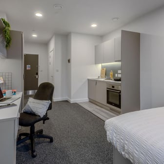 True Studio Plus - Image 5