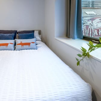 True Studio Plus - Image 6