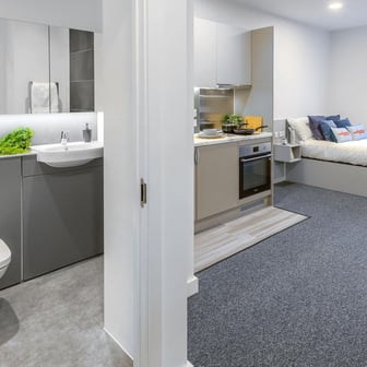 True Studio Plus - Image 7