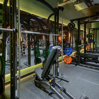 True Studio Plus - Image 32