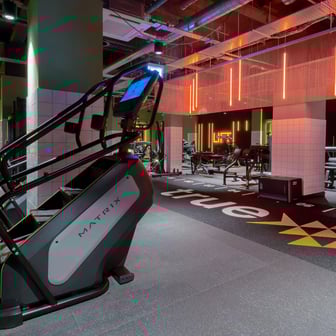 True Studio Plus - Image 35