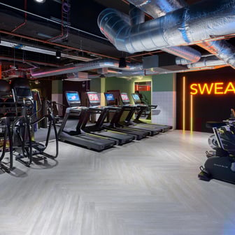 True Studio Plus - Image 39