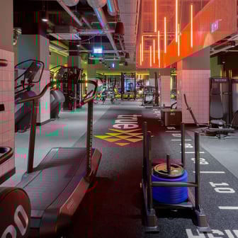 True Studio Plus - Image 41