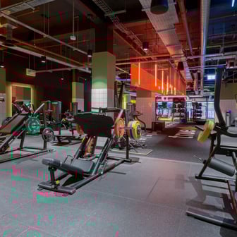 True Studio - Image 30