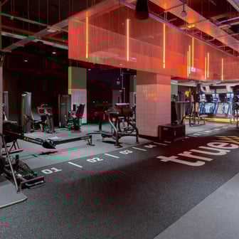 True Studio - Image 31