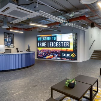 True Superior Studio - Image 52