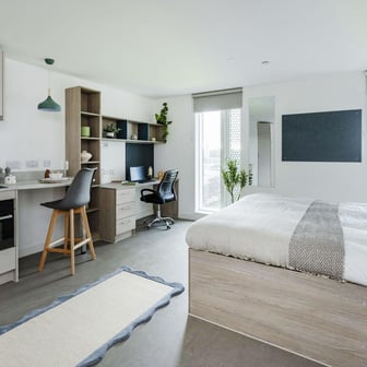 Gold Plus Studio - Image 1