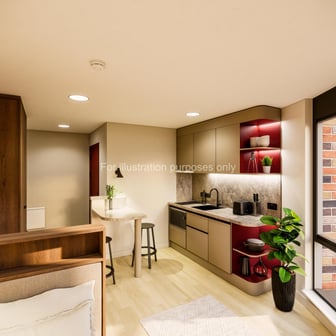 Large Premium Studio - Image 1