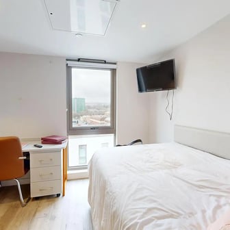 Premium Cluster Studio - Image 4