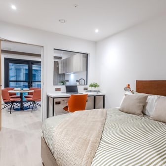 Large 2 Bedroom - Image 4