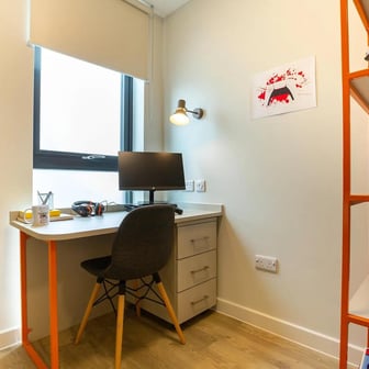 Skyline Cluster Studio Plus - Image 3