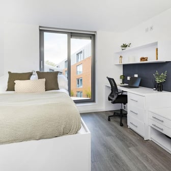 Standard Studio - Image 2