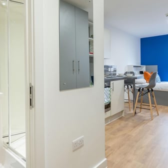 Silver Studio Plus - Image 2