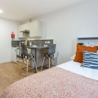 Silver Studio Plus - Image 3