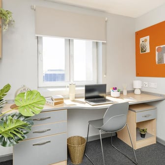 Premium Plus Ensuite - Image 3