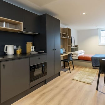 Large Premium Studio - Image 1
