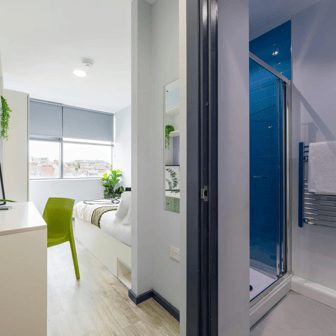 Gold Ensuite - Image 9
