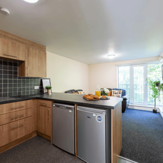 Bronze 2 Bed Apartment - Image 12