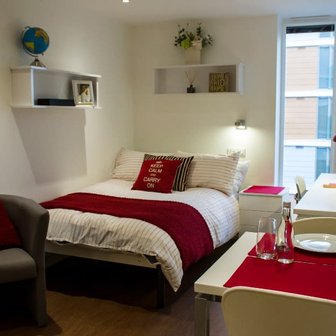 Standard Studio Gold - Image 3