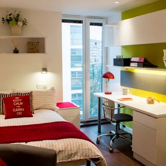 Standard Studio Gold - Image 2