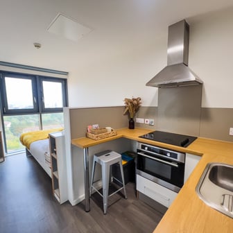 Studio Bronze - Image 2